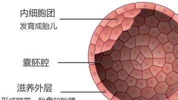 北京幸福好孕试管婴儿